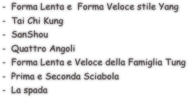  Forma Lenta e  Forma Veloce stile Yang        
 Tai Chi Kung  
 SanShou 
 Quattro Angoli  
 Forma Lenta e Veloce della Famiglia Tung
 Prima e Seconda Sciabola
 La spada