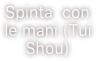 Spinta  con le mani (Tui Shou)